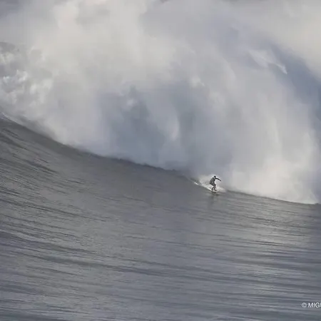 Wave Apartamento